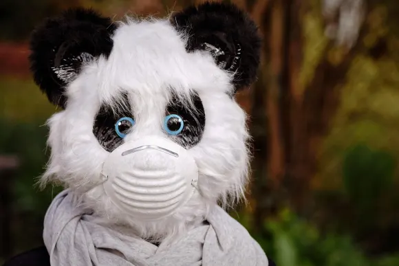 بيت أوريجينال كازينو الدعم